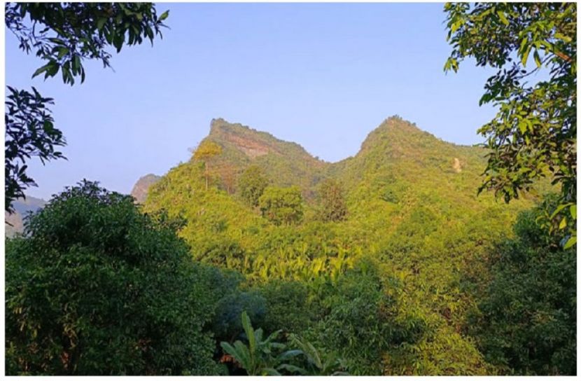 সংগৃহীত ছবি