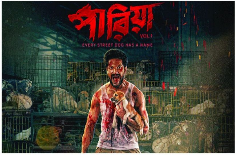 সংগৃহীত ছবি