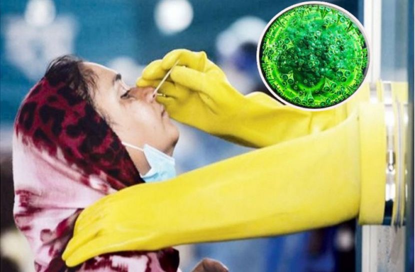 সংগৃহীত