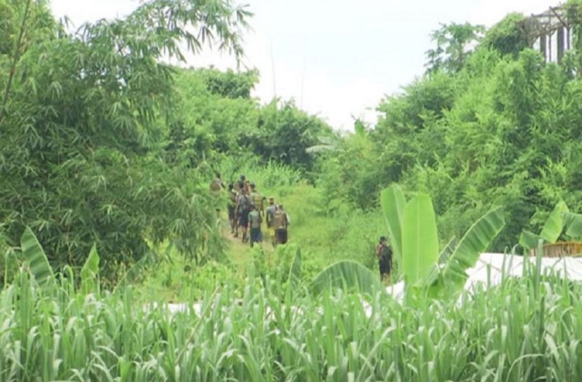 সংগৃহীত