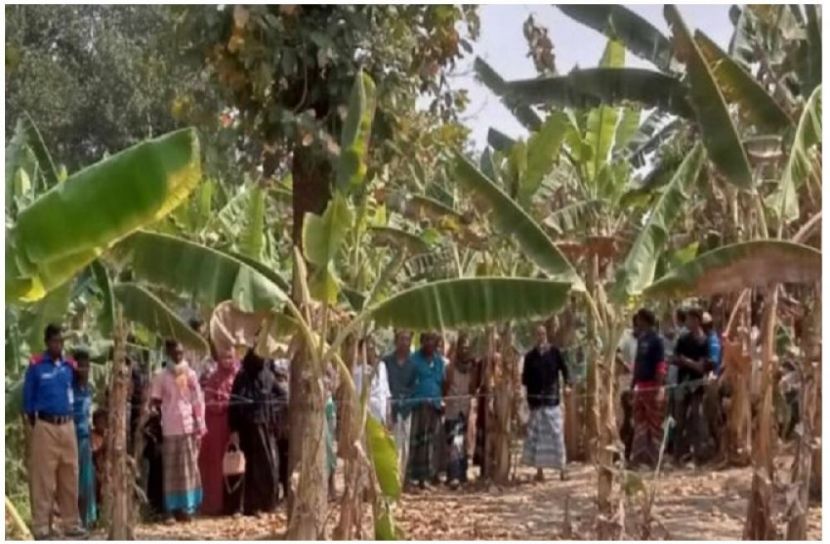 সংগৃহীত ছবি