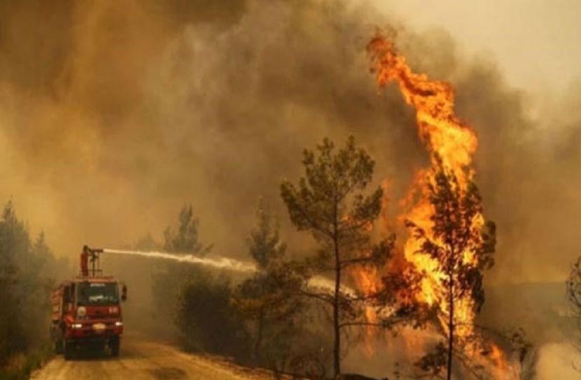 সংগৃহীত