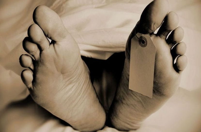 সংগৃহীত