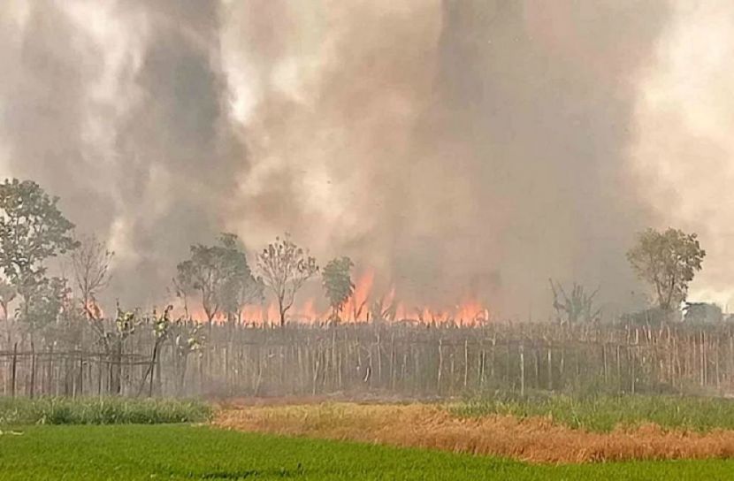 ছবি: সংগৃহীত