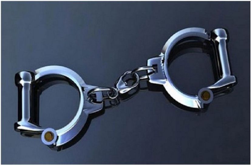 সংগৃহীত