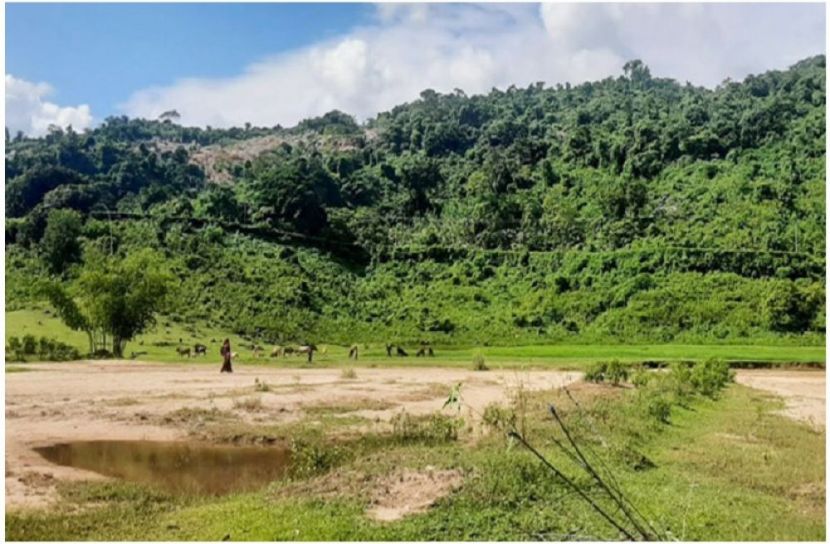 সংগৃহীত