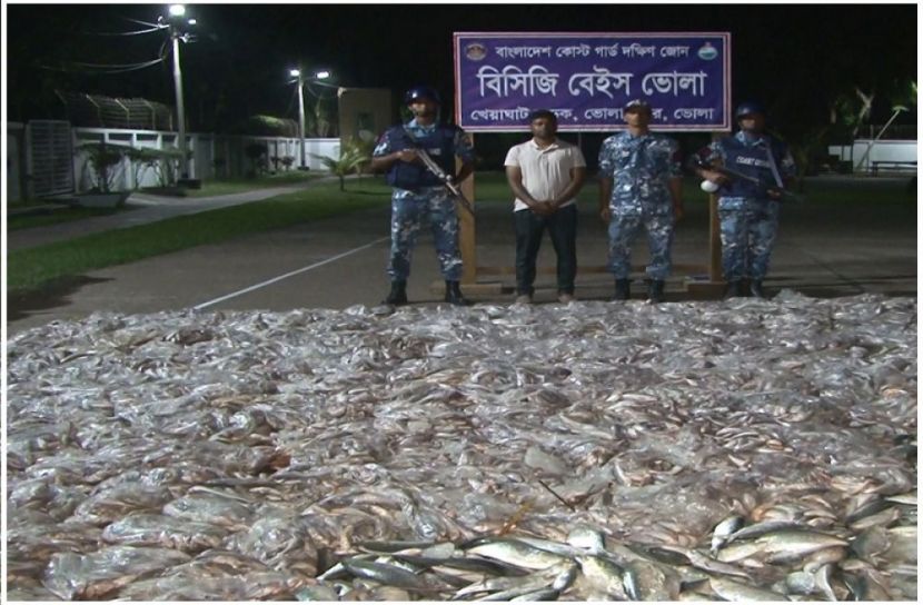 সংগৃহীত