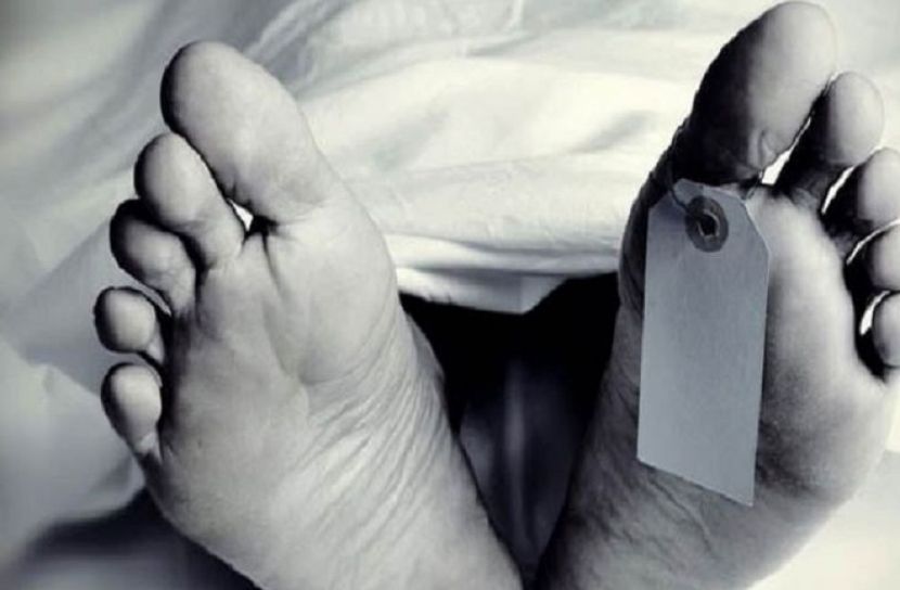 সংগৃহীত