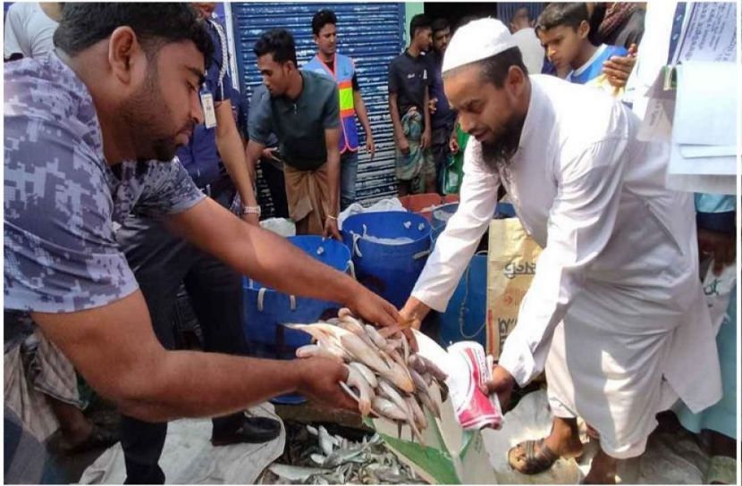 সংগৃহীত