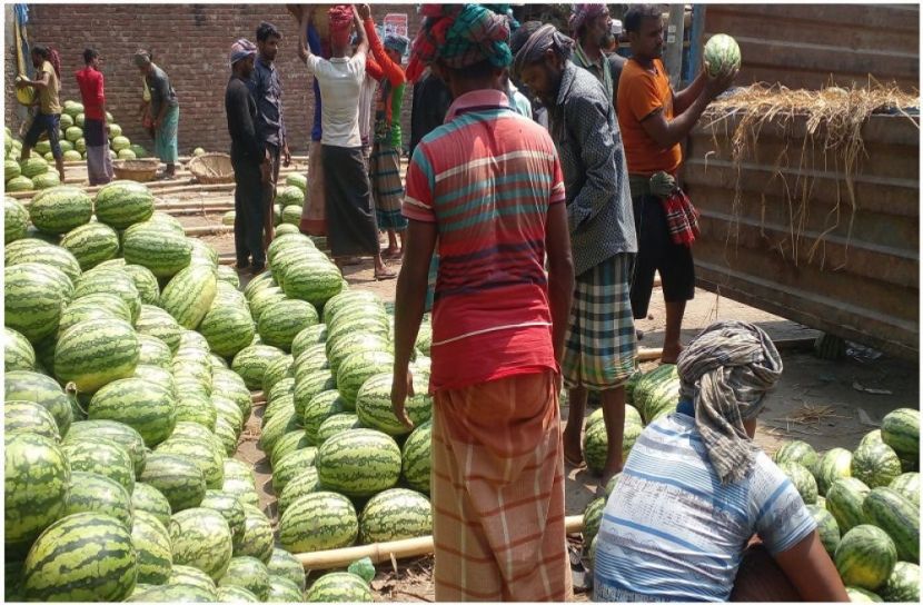 সংগৃহীত