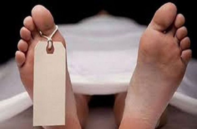 সংগৃহীত