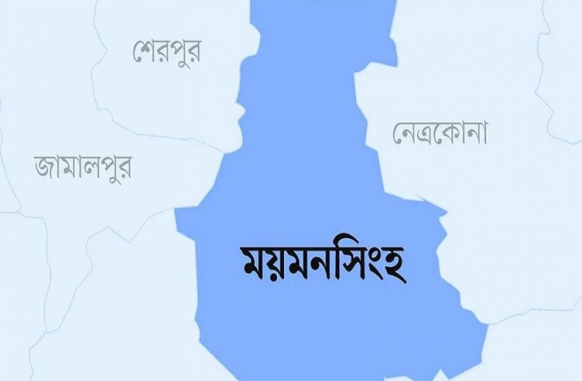 ফাইল ছবি