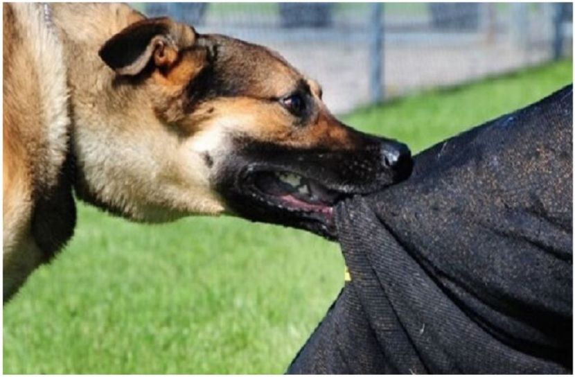 সংগৃহীত