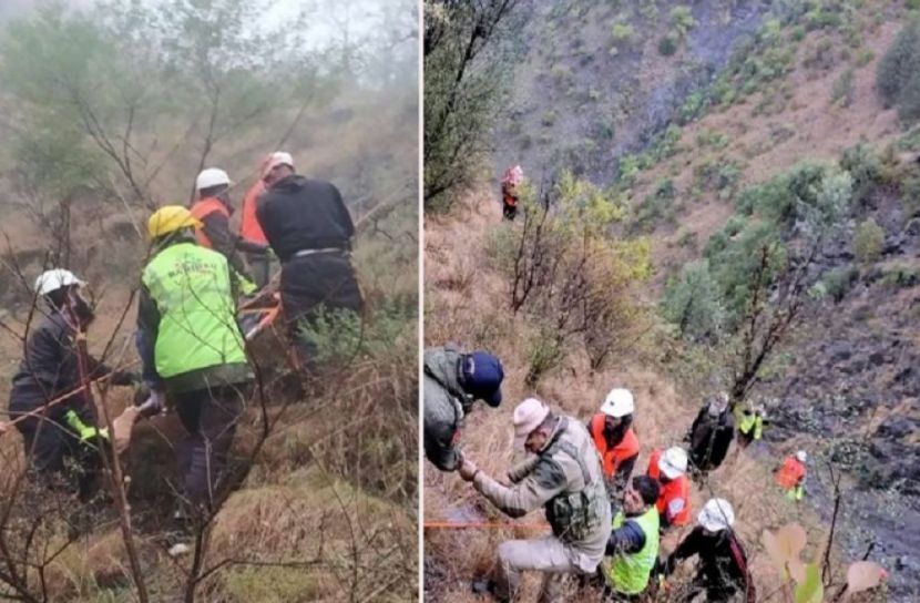 সংগৃহীত