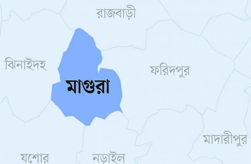 ফাইল ছবি