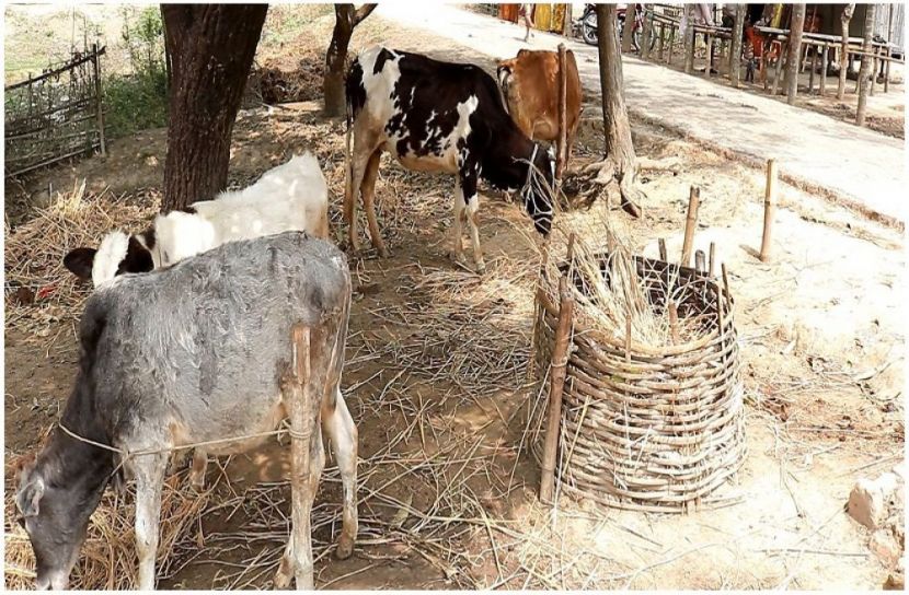 সংগৃহীত