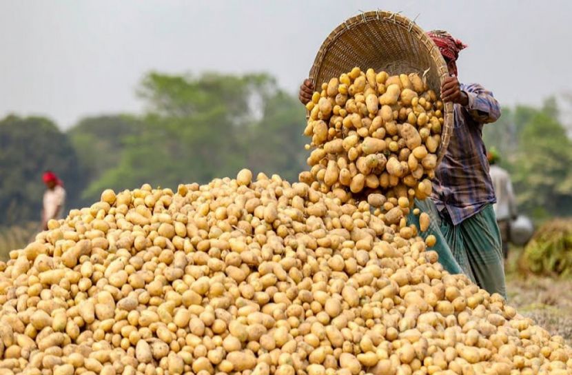 ফাইল ছবি