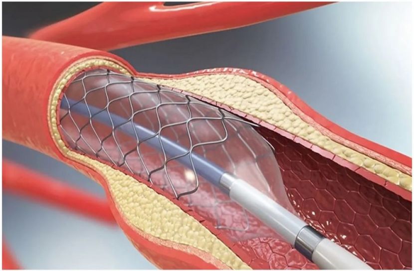 সংগৃহীত