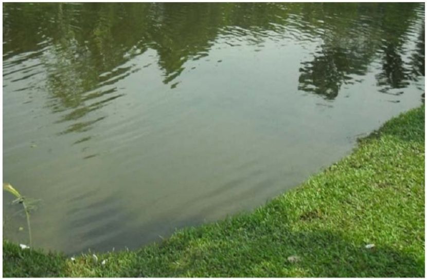 সংগৃহীত