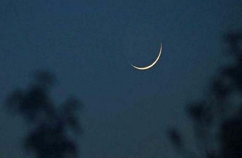 সংগৃহীত