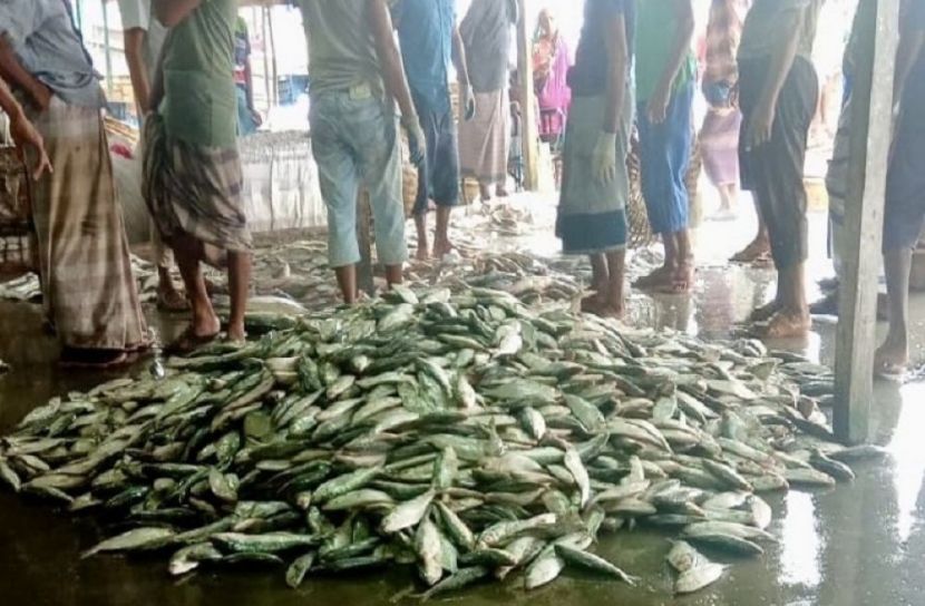 সংগৃহীত