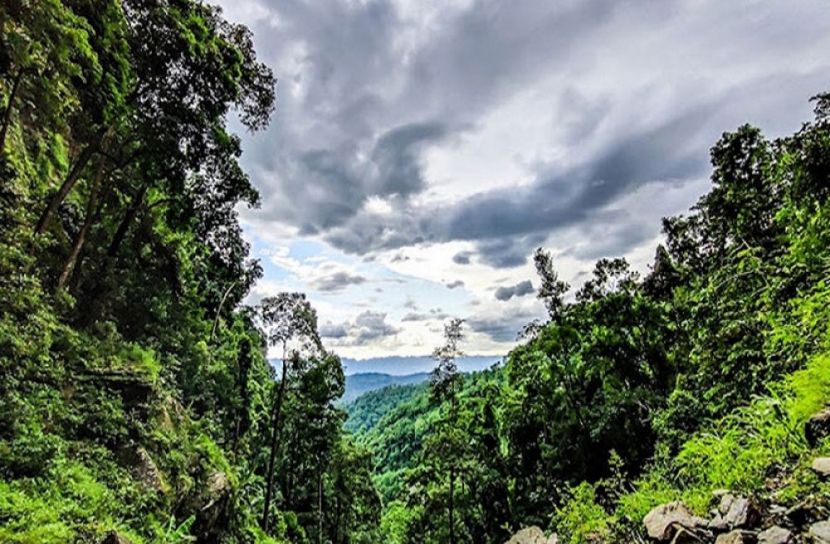 সংগৃহীত