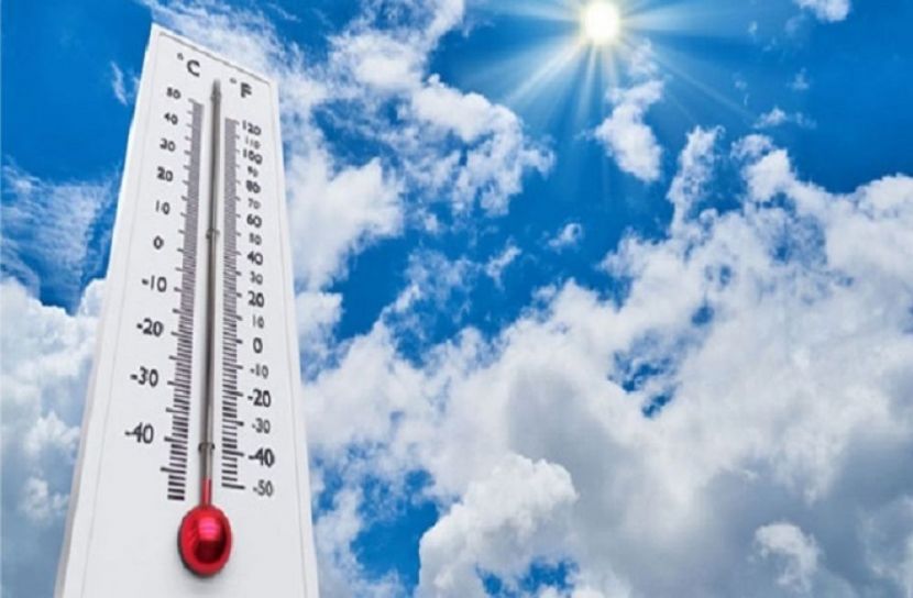 সংগৃহীত