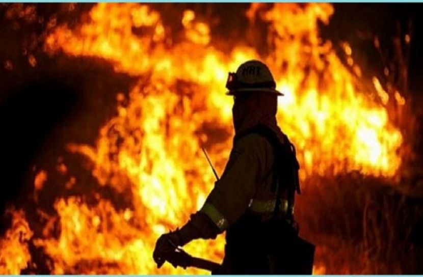 সংগৃহীত