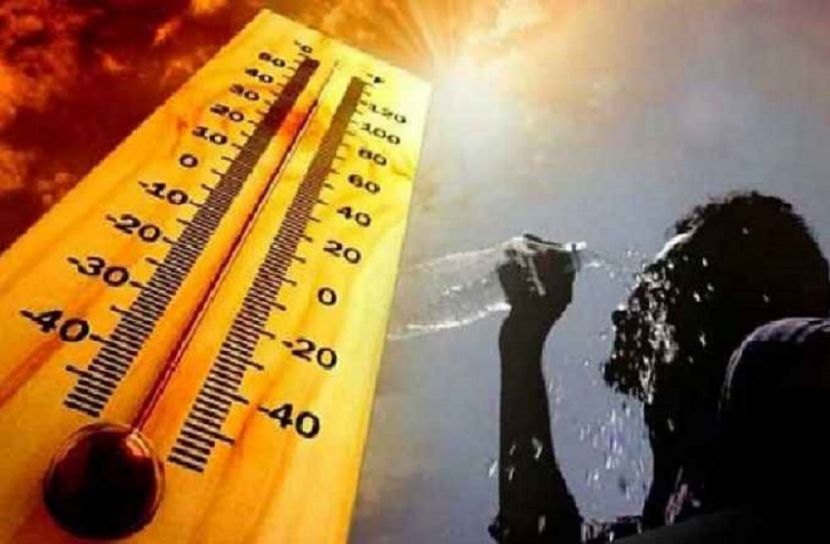 সংগৃহীত