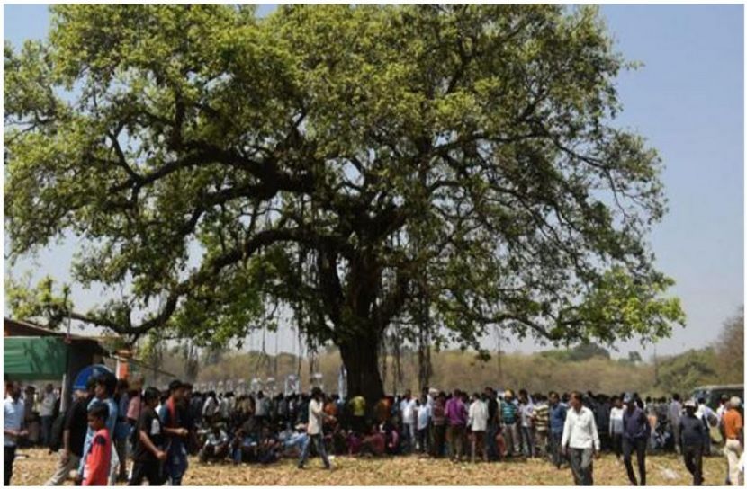 সংগৃহীত