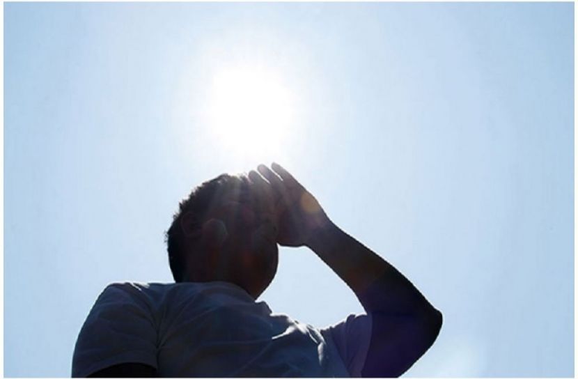 সংগৃহীত