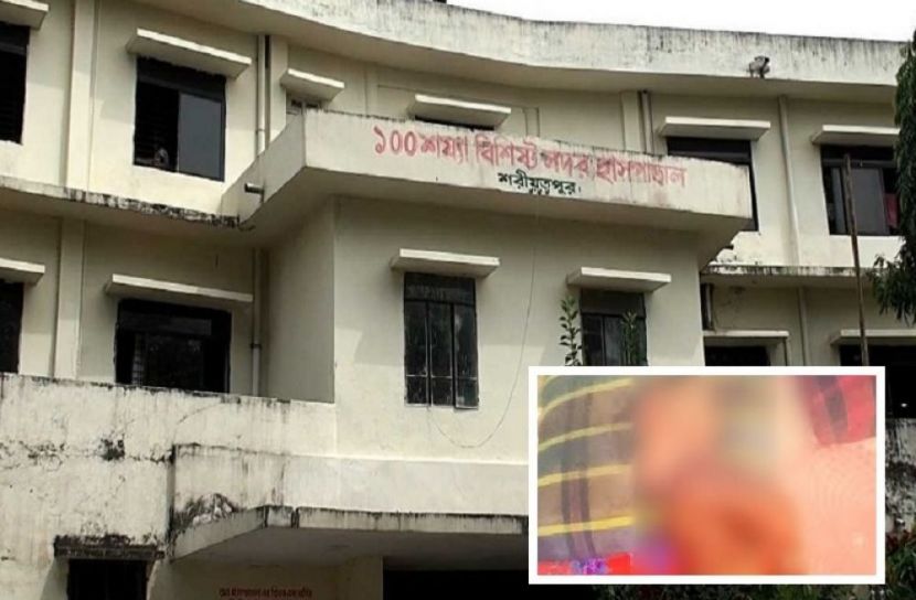 ছবি সংগৃহিত