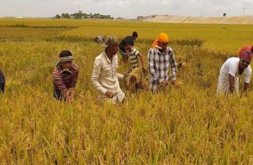 সংগৃহীত