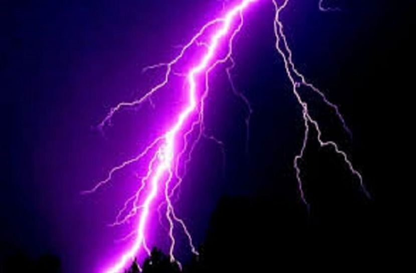 সংগৃহীত