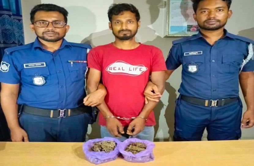 সংগৃহীত ছবি