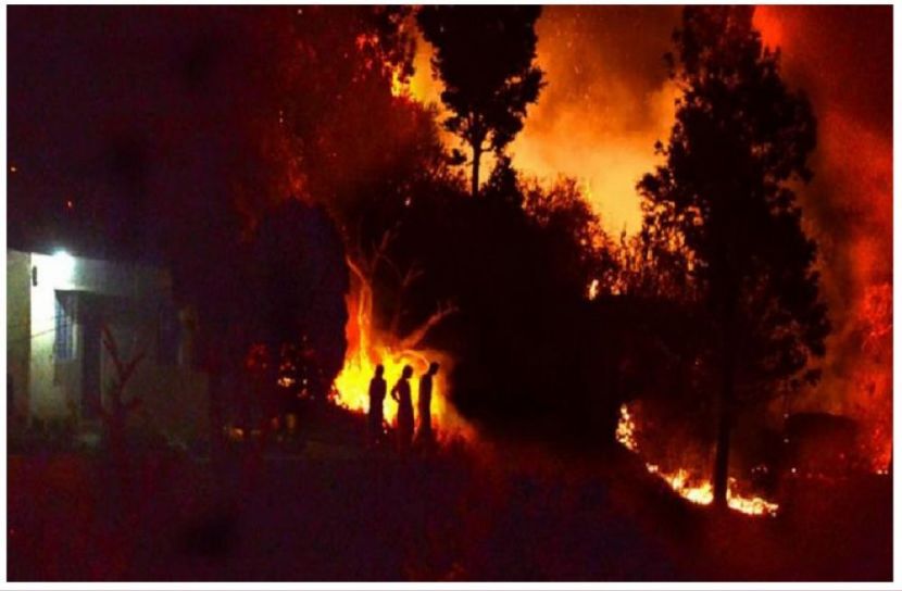 সংগৃহীত ছবি