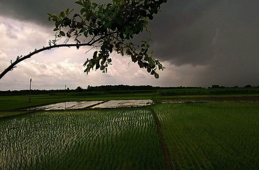 ফাইল ছবি