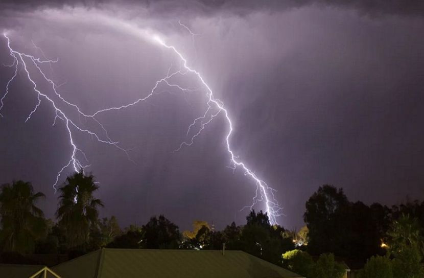 ফাইল ছবি