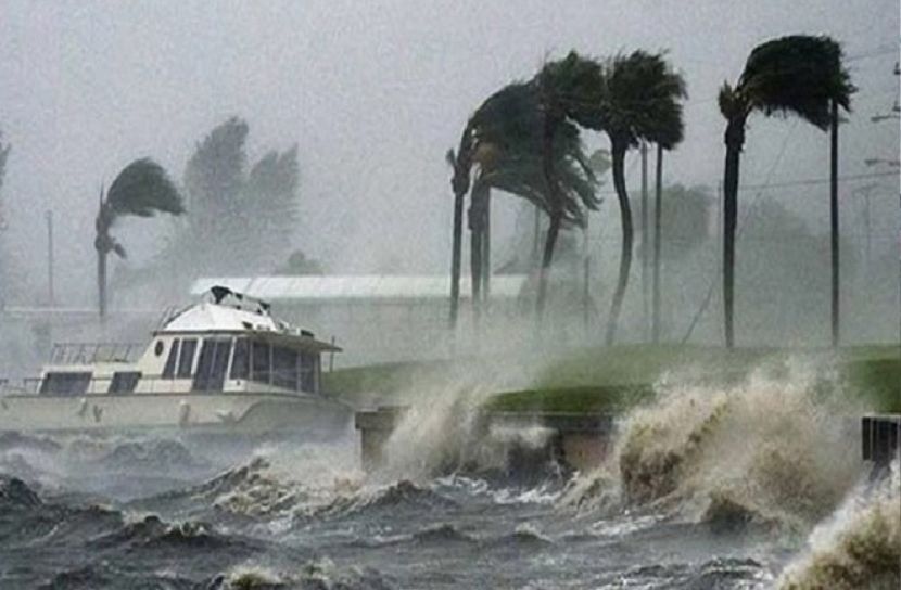 সংগৃহীত