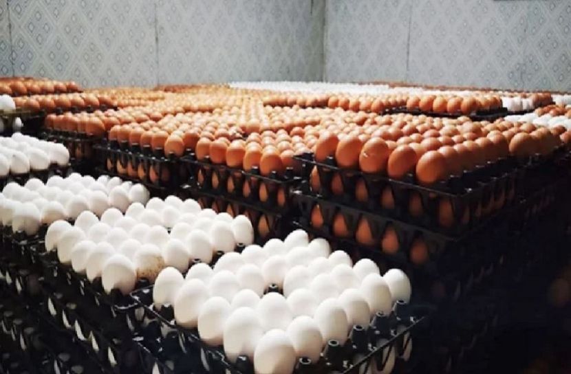 সংগৃহীত