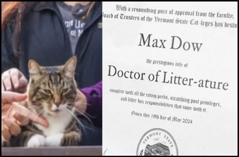 সংগৃহীত