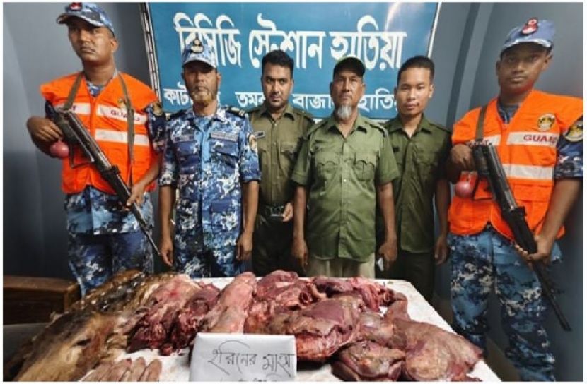 সংগৃহীত