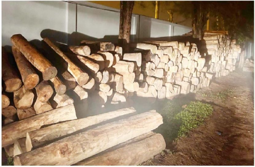 সংগৃহীত