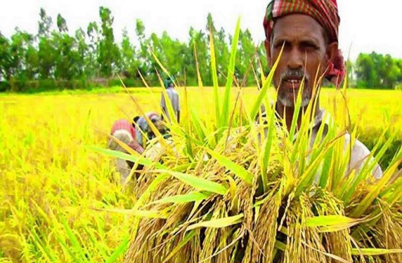 সংগৃহীত