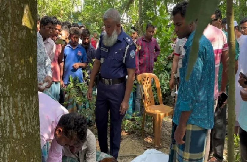 সংগৃহীত ছবি