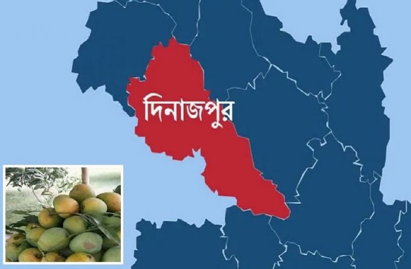 সংগৃহীত