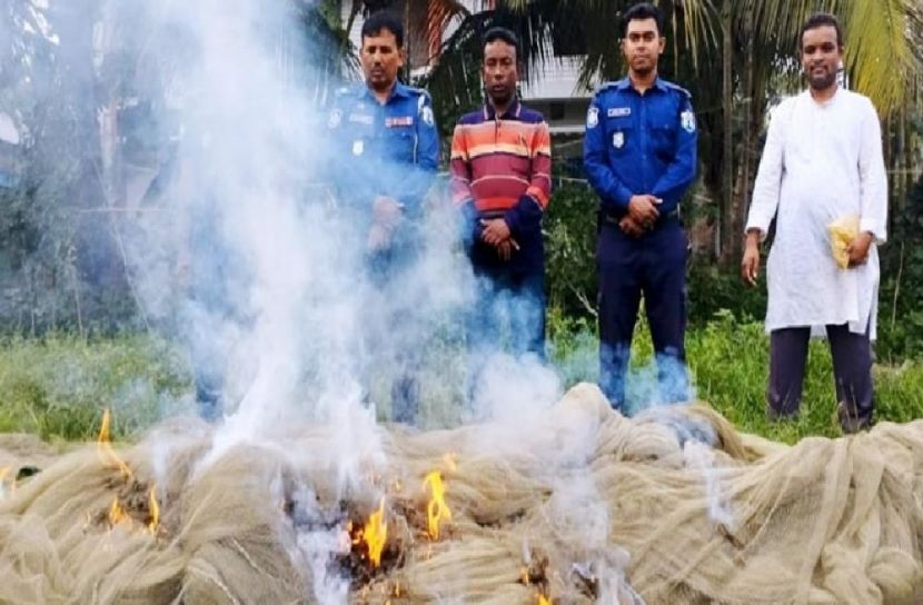 সংগৃহীত