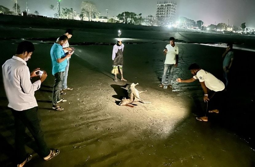 ছবি: সংগৃহীত