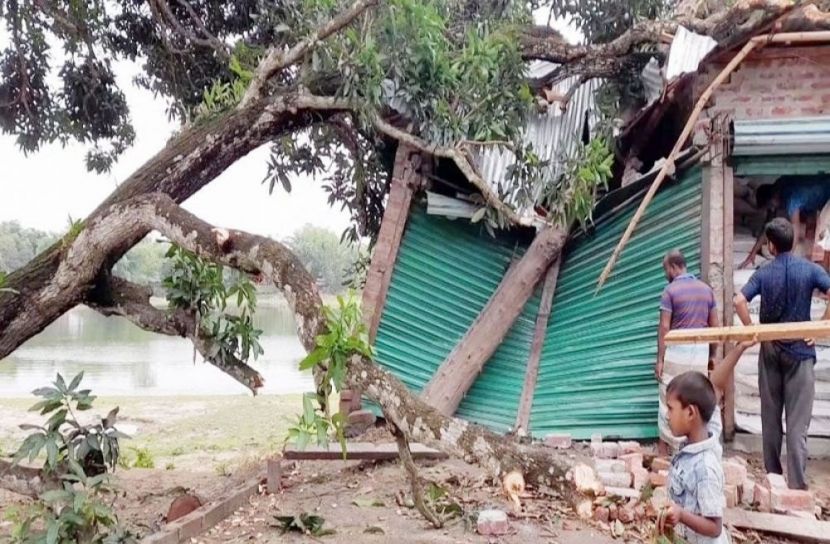 সংগৃহীত ছবি