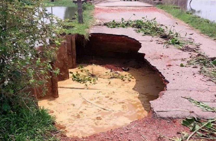 সংগৃহীত ছবি